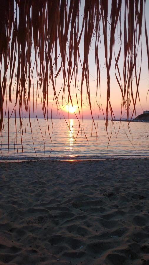 Silver Moon Kini Oda fotoğraf